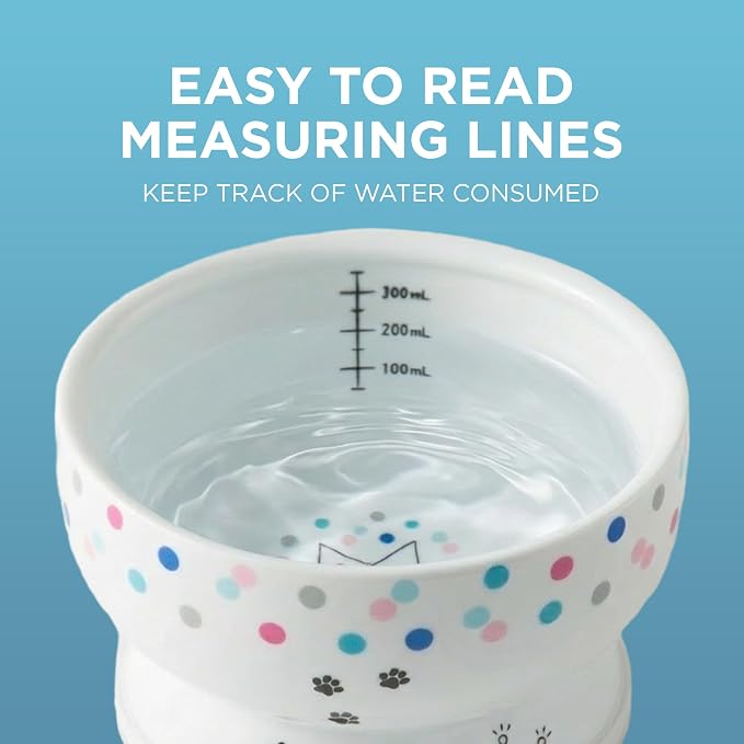 Necoichi Raised Cat Water Bowl, Whisker-Friendly (Colorful Dots, Regular)