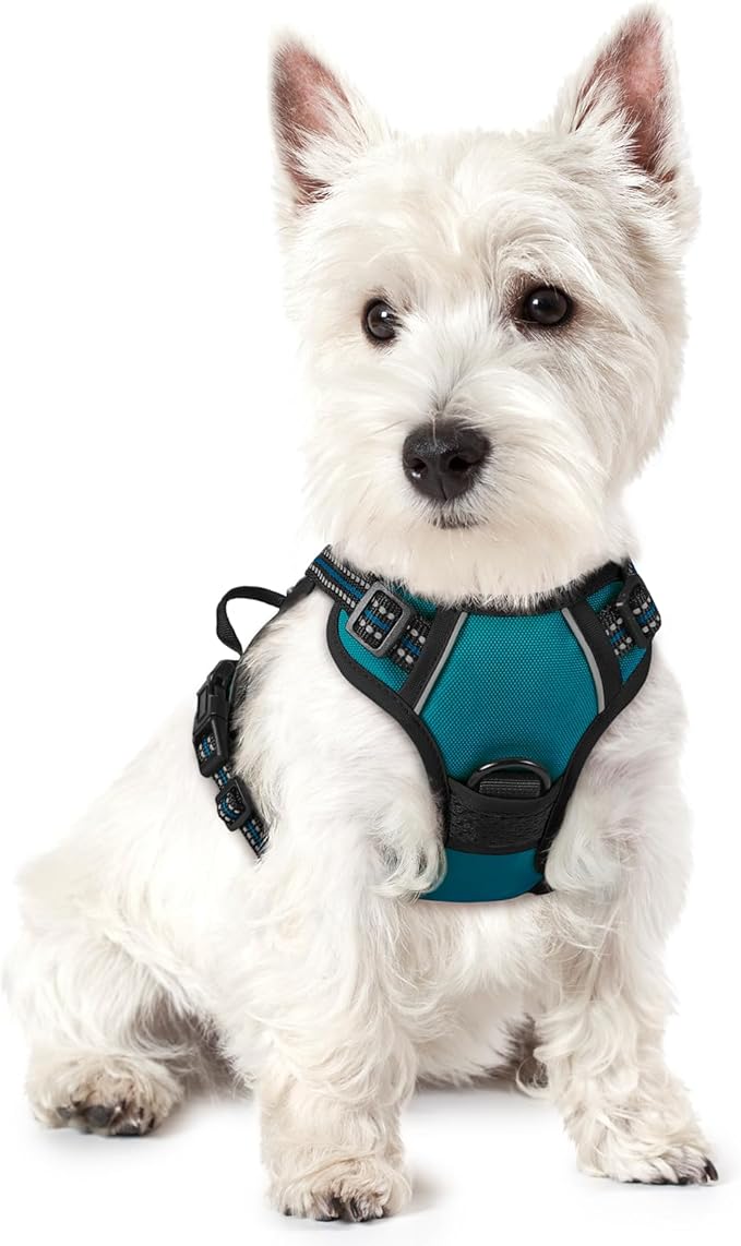rabbitgoo Dog Harness, No Pull for Small Dogs with 2 Leash Clips, Pet Vest | No Choke, Adjustable, Breathable Padded, 2 Lead Rings, Reflective, Easy Control for Walking Training, XS, Blue Coral