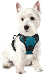 rabbitgoo Dog Harness, No Pull for Small Dogs with 2 Leash Clips, Pet Vest | No Choke, Adjustable, Breathable Padded, 2 Lead Rings, Reflective, Easy Control for Walking Training, XS, Blue Coral