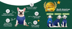 SurgiSnuggly Veterinary Invented Dog Surgical Recovery Suit for Female Spay or Male Dogs Neuters Onesie,Cone Alternative,Original Onesie Bodysuit for After Surgery Small, Medium, Large Dogs BL SL EC