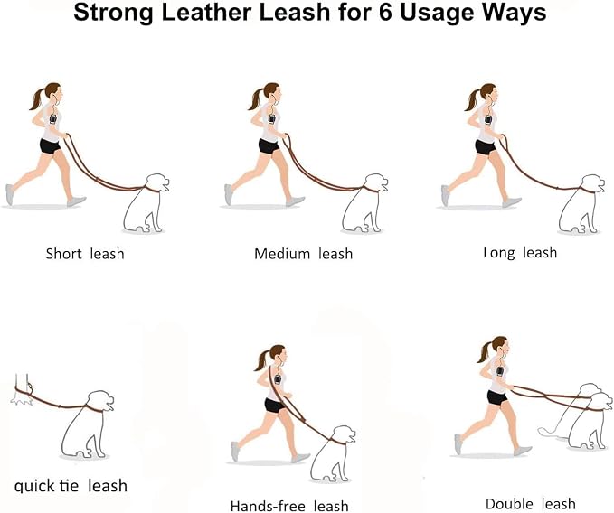 Multi Function 8ft Genuine Leather Hands Free Dog Training Leash for Puppy Small and Medium Dogs (8 Foot*3/8 inch, Black)