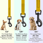 Dogline Biothane Waterproof Dog Leash Strong Coated Nylon Webbing with Black Hardware Odor-Proof Easy to Clean High Performance for Small or Large Dogs Made in USA 4 or 6 ft Lead, Treasure Gold