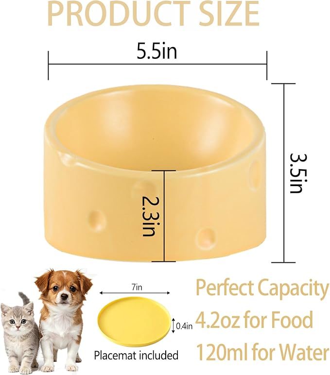 Cat Food Bowl with Food Mat, Ceramic Raised and Tilted Water Bowl, Anti Vomiting and Protection, Cat or Small Dog Feeding Station, Dishwasher and Microwave Safe