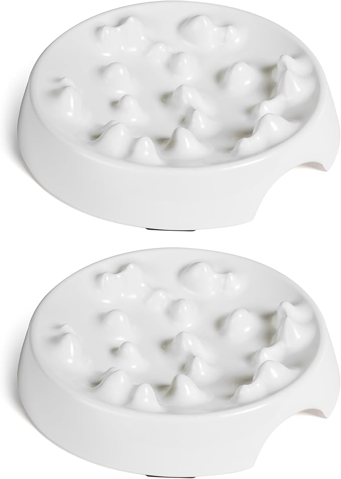 CatGuru Whisker-Friendly Slow Feeder Cat Bowl for Healthy Digestion | Perfect for kittens, adult, and senior cats. Encourages calm, healthy eating habits at every age.