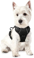 rabbitgoo Dog Harness No Pull with 2 Leash Clips, Adjustable Soft Padded, Reflective Oxford No Choke Pet Vest with Easy Control Handle for Puppy, Black, XS | No Choke with Handle, Adjustable Soft Padded, Reflective, Easy Control for Walking, Black, X-S...