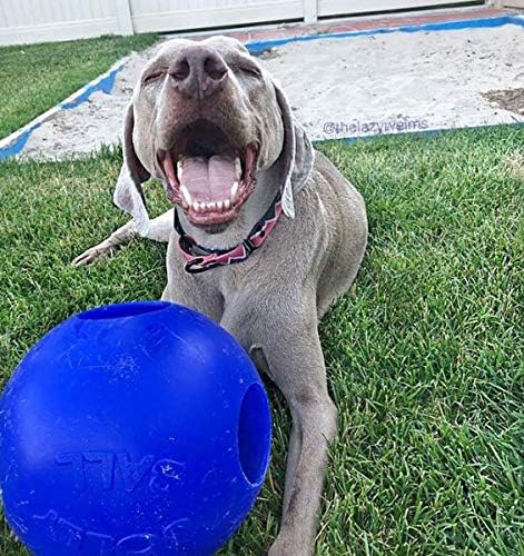 Jolly Pets Teaser Ball Dog Toy, Extra Large/10 Inches, Blue