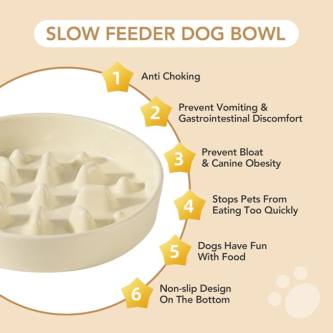 Havniva Elevated Slow Feeder Dog Bowls, Ceramic Dog Bowl Slow Feeder Set | 1.6 Cups Raised Slow Feeding Bowl for Medium Breed, 7.3” Dog Water Bowl with Wooden Stand, Puzzle Dog Slow Feeder, Non-slip