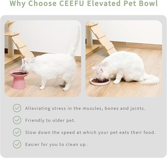 CEEFU 2-Pack Extra Wide Elevated Ceramic 6.2" Shallow Cat Food Bowls | Cat Dish for Whisker Fatigue Relief, 5" Height for Easy Feeding, Durable Raised, Pink