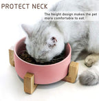 Petygooing Dog Cat Bowl Ceramic Pink Pet Dish with Stand for Food and Water, Modern Cute Matte Glaze Weighted Pet Bowls Set for Cats & Small Size Dogs 13.5 OZ (5.1In / 1.7 Cups) Pink