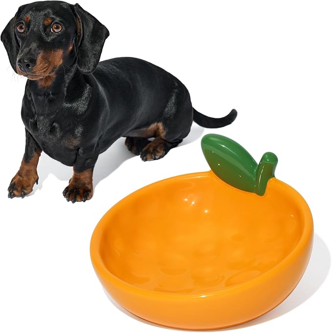 VETRESKA Ceramic Pet Bowl, Tilted Design Pet Feeder for Food and Water | Anti Vomit Cat Bowls for Indoor Cats Cute Tangerine Cat Bowl Dishwasher Safe