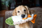 Fluff & Tuff Ruby the Rainbow Trout Plush Dog Toy – 2 Pack, 14” Durable Stuffed Fish Dog Toy with Squeaker, Double-Stitched & Reinforced for Interactive Play