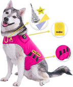 CozyVest 3-in-1 Anxiety Vest Music & Aromatherapy Dog Coat Relaxing Sound & Essential Oil Scent Canine Stress Relief Fireworks Thunder Separation Shirt Jacket Thunderstorm(Pink, XS [8-14 Lbs])