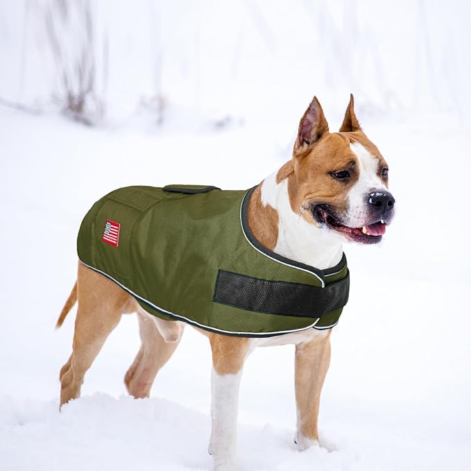 BEAUTYZOO Dog Winter Coat for Large Dogs Waterproof, Warm Reflective Great Dane Oxford Canvas Jacket, Fleece Dog Cold Weather Coats Windproof for Female Male Dogs, Green L