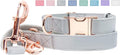 Soft Leather Dog Collar and Leash (6.6') Set - Stylish Rose Gold Heavy Duty Metal Buckle, 4 Adjustable Lengths Leash for Small Medium Large Dogs - Comfortable & Easy to Clean Grey S(12.2"-16.9")