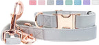 Soft Leather Dog Collar and Leash (6.6') Set - Stylish Rose Gold Heavy Duty Metal Buckle, 4 Adjustable Lengths Leash for Small Medium Large Dogs - Comfortable & Easy to Clean Grey S(12.2"-16.9")