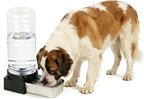 PAKEWAY 2.4 Gallon Gravity Dog Water Dispenser for Large Dogs and Multi-Pet Homes, Automatic Pet Waterer with Stainless Steel Bowl, Transparent Tank and 3 Filters, 9L