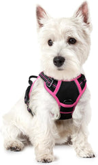 rabbitgoo Dog Harness, No Pull for Small Dogs with 2 Leash Clips, Pet Vest | No Choke with Handle, Adjustable Soft Padded, Reflective, Easy Control for Walking, Black & Hot Pink, X-Small