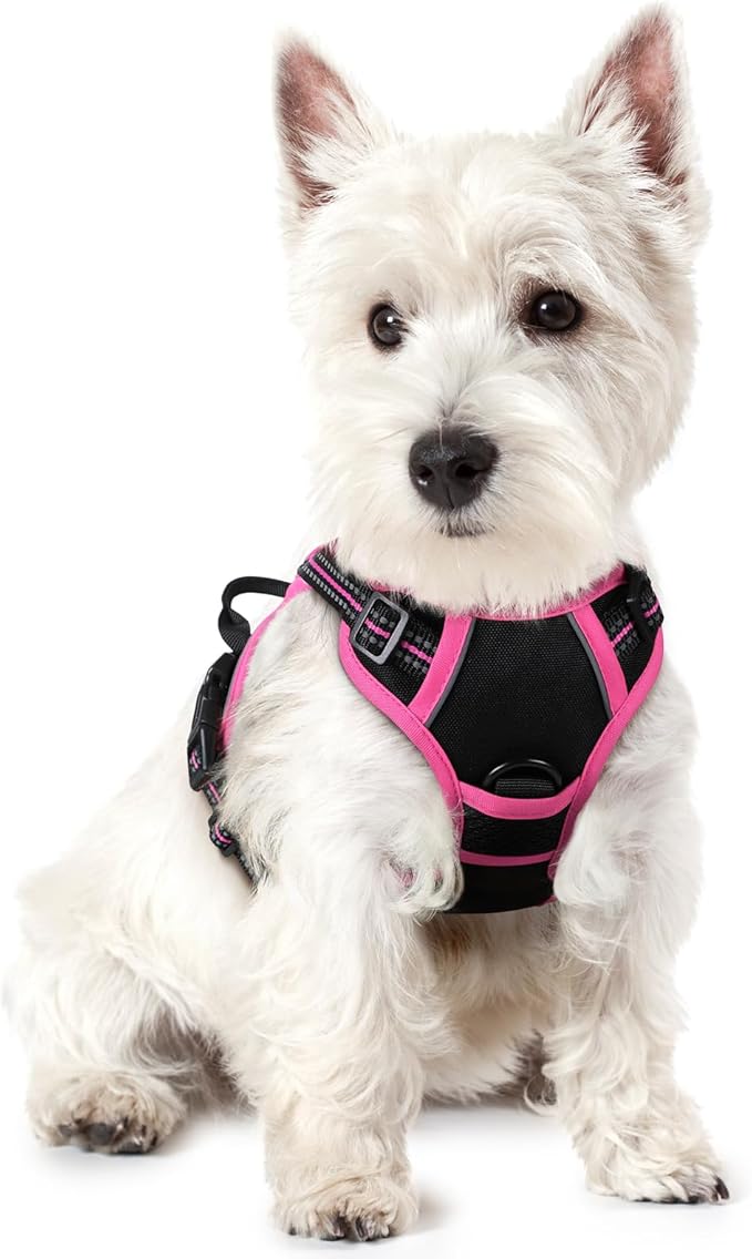 rabbitgoo Dog Harness, No Pull for Small Dogs with 2 Leash Clips, Pet Vest | No Choke with Handle, Adjustable Soft Padded, Reflective, Easy Control for Walking, Black & Hot Pink, X-Small