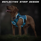 WINGOIN Blue Tactical Dog Harness for Large Dogs, Heavy Duty No Pull Dog Harness with Handle, Adjustable Reflective Military K9 German Shepherd Big Size Dog Vest for Walking, Training, Hunting (L) | with Handle,Adjustable Reflective,Military K9 Style,B...