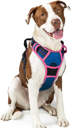 rabbitgoo Dog Harness, No Pull for Large Dogs with 2 Leash Clips, Pet Vest | No Choke with Handle, Adjustable Soft Padded, Reflective, Easy Control for Walking, Blue & Hot Pink, Large