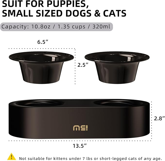 Raised Cat Bowls Set - Ceramic Dishes with Non-Slip Stand, 9° Tilted, Lead & Cadmium Free, for Small Dogs and Cats, 6.5" Wide - 2 x 320ML (10.8 oz), Black