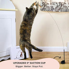 Whiskertons Interactive Bird Simulation Cat Toy Set, Interactive Cat Toys for Indoor Cats, Cat Feather Toy, Self-Holding Suction Base, 5 Replacement Birds, Feathers & Bells, Realistic Bird Impression