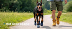 Dog Shoes for Hot Pavement - Comfortable Paw Protection for Medium & Large Dogs, Adjustable Strap & Non-Slip, Easy-Clean, Outdoor Sports Boots, Dog Booties for Summer Rain (Blue, M)