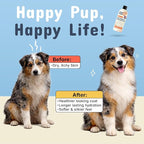 Pets are Kids Premium Oatmeal Shampoo for Itch Relief & Shiny Coat, 17 oz | Natural Itch Relief, Dry Skin Soother, Hydrated & Shiny Coat, with Aloe, Coconut & Baking Soda, Hypoallergenic, For Dogs