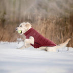 Lelepet Reversible Dog Coat Windproof Dog Jacket Lightweight Puffer Vest | Windproof Wintet Jacket Warm Coats for Large Dogs Adjustbale Hook & Loop Pet Apparel with Leash Hole, Pitbull, Wine Red, XL