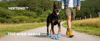 Dog Shoes for Hot Pavement - Comfortable Paw Protection for Medium & Large Dogs, Adjustable Strap & Non-Slip, Easy-Clean, Outdoor Sports Boots, Dog Booties for Summer Rain (Coastal Blue, M)