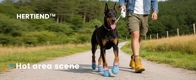 Dog Shoes for Hot Pavement - Comfortable Paw Protection for Medium & Large Dogs, Adjustable Strap & Non-Slip, Easy-Clean, Outdoor Sports Boots, Dog Booties for Summer Rain (Coastal Blue, M)