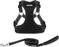 Best Pet Supplies Voyager Adjustable Step-in Flex Breathable Mesh Dog Harness for Small Medium Large Dogs Leash Set (Black), XL