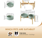 Havniva Elevated Slow Feeder Dog Bowls, Ceramic Dog Bowl Slow Feeder Set | 1.2 Cups Raised Slow Feeding Bowl for Small Breed, 6.1” Dog Water Bowl with Wooden Stand, Puzzle Dog Slow Feeder, Non-slip