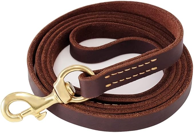 FAIRWIN Leather Dog Leash 6 Foot - Dog Training Leash Heavy Duty Dog Lead for Large Medium Small Dogs (M - 6 ft x 5/8 inch, Reddish Brown)