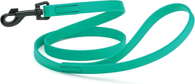 Dogline Biothane Waterproof Dog Leash Strong Coated Nylon Webbing with Black Hardware Odor-Proof Easy to Clean High Performance for Small or Large Dogs Made in USA 4 or 6 ft Lead, Teal