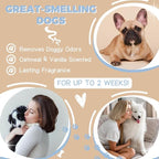 All Natural Anti Itch Oatmeal Shampoo + Conditioner for Dogs | Hypoallergenic Soothing Relief for Dry, Itchy, Bitten or Allergy Damaged Skin (Pack of 2)