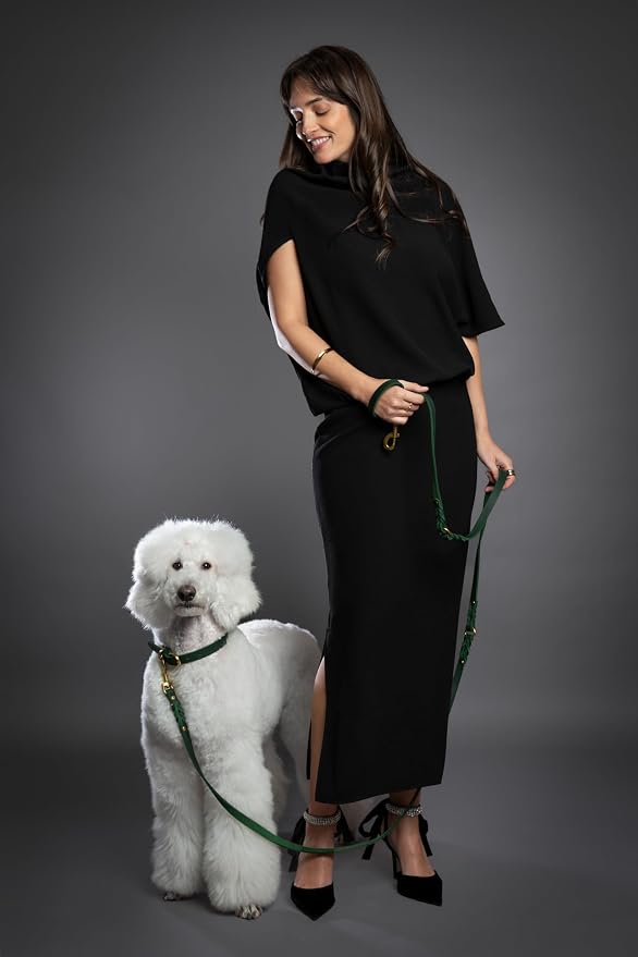 NOAH & PAW Leather Dog Leash, Premium Oil-Waxed Leather Braided, 8 ft Long Dog Leash with 6 Ways to Use Hands-Free, Quick-tie, Double Pet Lead Etc. Matching Collar Available. (Dark Green)