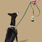 VETRESKA Dog Harness and Leash Set, Easy Walk Dog Harness, XS | for Small Medium Dogs, No Pull Puppy Harness for Walking and Training, Adjustable, Anti-Twist Leash (Santal Forest)