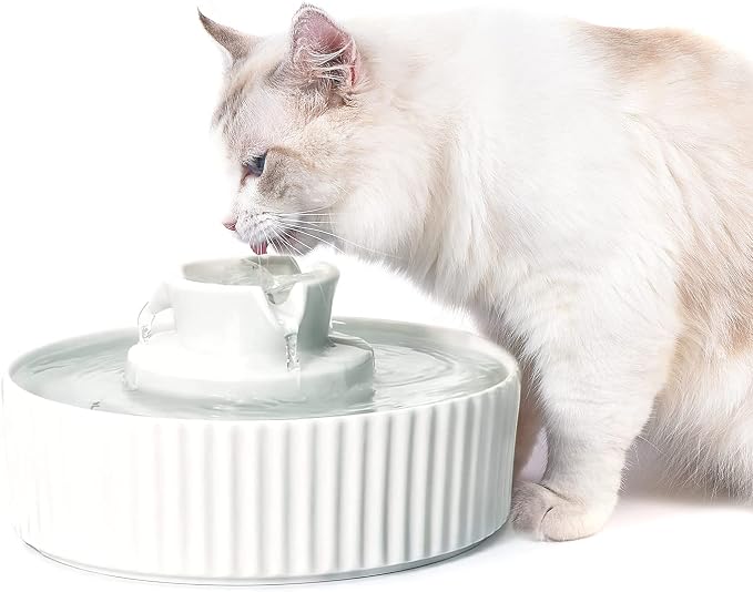 Ceramic Cat Water Fountain, Pet Ceramic Water Fountain Dispenser, 2.1 L Drinking Fountains Bowl for Cats and Dogs with Replacement Filters and Foam(White)