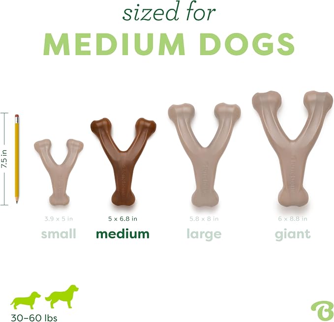 Benebone Peanut Butter Flavored Wishbone Chew Toy