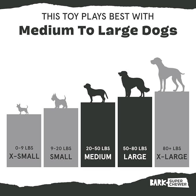 BarkBox Comet Super Chewer - Toy for Small Dogs | Durable Dog Toy for Aggressive Chewers - Treat Dispensing Chew