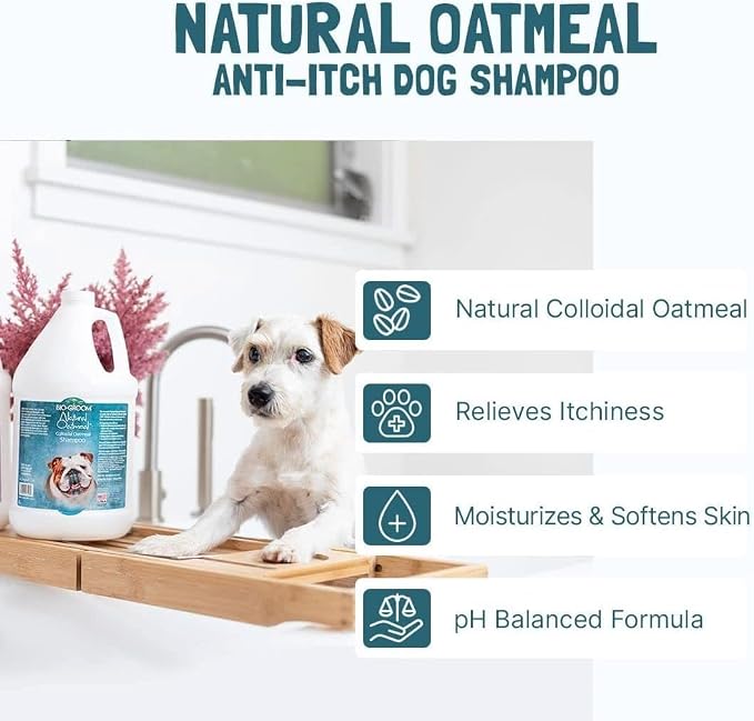 Bio-Groom Oatmeal Dog Shampoo, for Allergies and Itching, 12 fl oz, 2-Pack | Cruelty-Free, Dog Bathing Supplies, Puppy Shampoo for Sensitive Skin, Made in USA, Anti-Itch Products