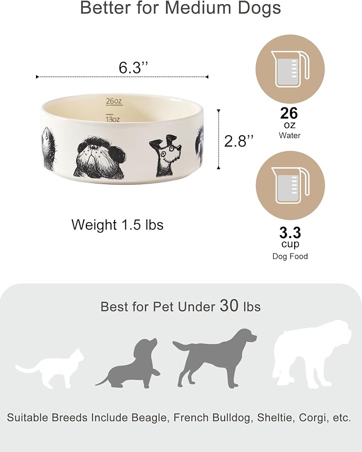 Ceramic Cute Dog Bowl Set of 2, 3.3 Cups | Heavy Non-Slip Stoneware Food and Water Bowls for Small Medium Dogs, Microwave & Dishwasher Safe, Pet Feeding Set