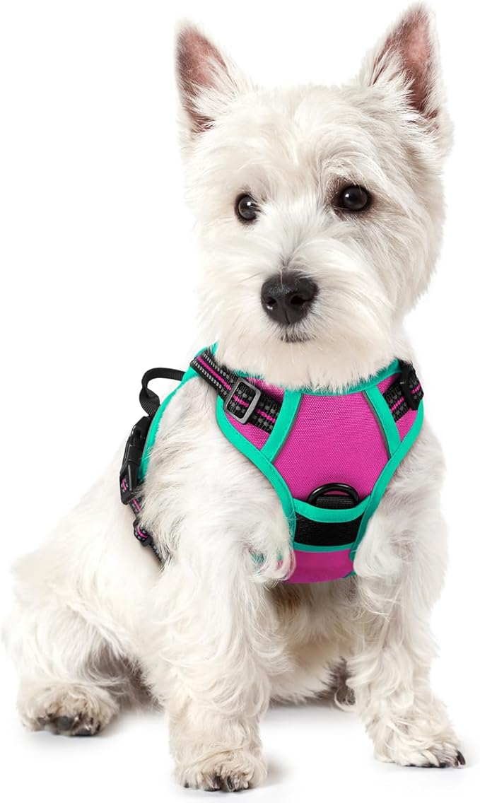 rabbitgoo Dog Harness, No Pull for Small Dogs with 2 Leash Clips, Pet Vest | No Choke with Handle, Adjustable Soft Padded, Reflective, Easy Control for Walking, Hot Pink & Turquoise, X-Small