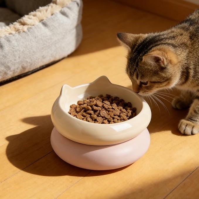 Cat Bowl, Ceramic Cat Bowls Food and Water Bowl Set, Whisker Friendly Cute Kitten Food Bowls for Protecting Pet's Spine, Yellow & Pink