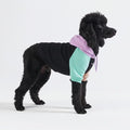 Spark Paws Dog Hoodie – Premium Dog Sweater for Small, Medium, and Large Dogs | Warm Outfits for French Bulldogs, Pitbull, Puppy, Winter Jacket Alternative - Cyber Punk - 3XL