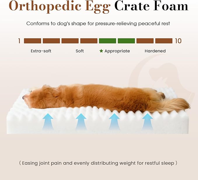 Extra Large Dog Bed Orthopedic Foam with Waterproof Lining | Egg crate foam for joint support. Soft plush surface. Non-slip bottom. Removable & machine washable cover. OEKO-TEX certified