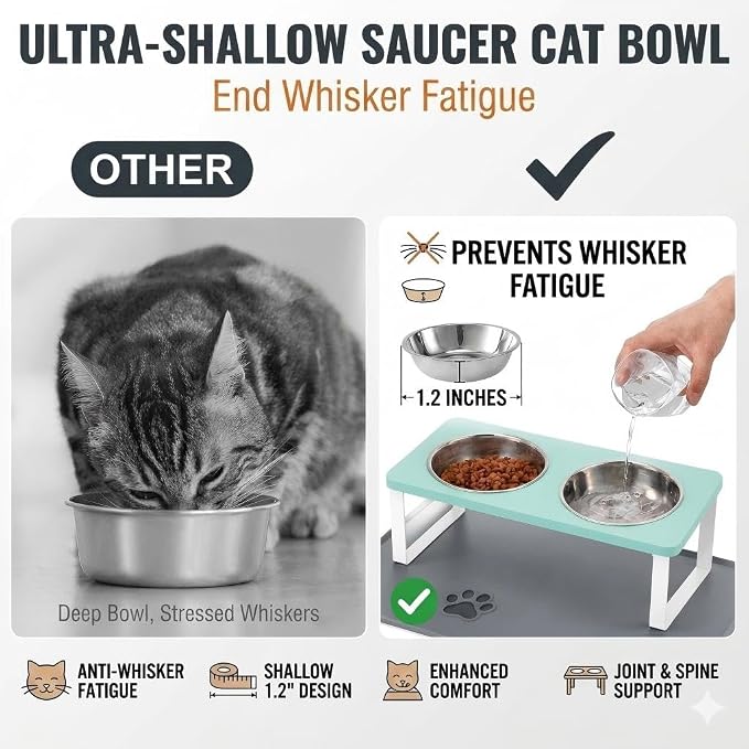 Summark Upgraded Elevated Cat Bowls with Food Mat,15°Tilted Stand Anti Vomiting Raised Cat Dishes for Food and Water,2 Stainless Steel Bowls for Cats and Puppy（Teal）