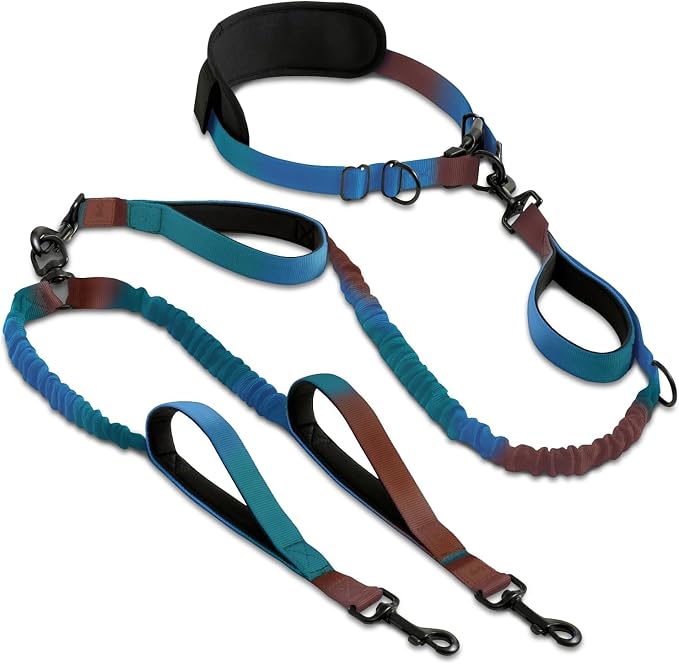 SparklyPets - Hands Free Dual Dog Leash for Medium and Large Male Dogs - Padded Handles, Reflective Stitches, No Pull, Tangle Free - Walking, Hiking, Jogging, Canicross Waist Leash - Gradient Blue
