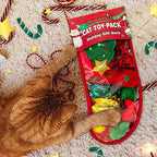 Christmas Cat Toys, 10 Pack Catnip & Feather Toys for Indoor Cats - Image 3